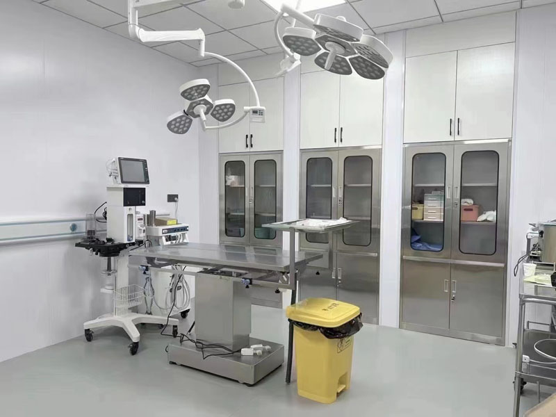 小蝌蚪视频色版